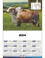 I - Série 224